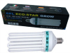 Ampoule ECO-STAR CFL 200W 6400K croissance